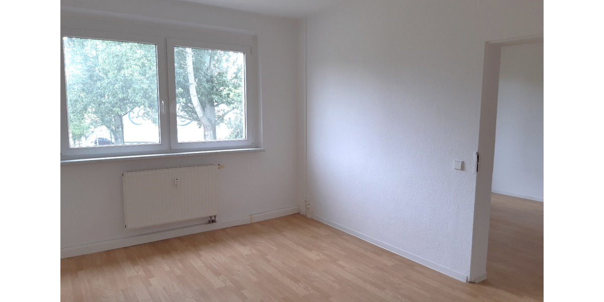 Etagenwohnung Döbeln - 2 Zimmer, 49 m&sup2;, 230&euro; | Angebot:24601710