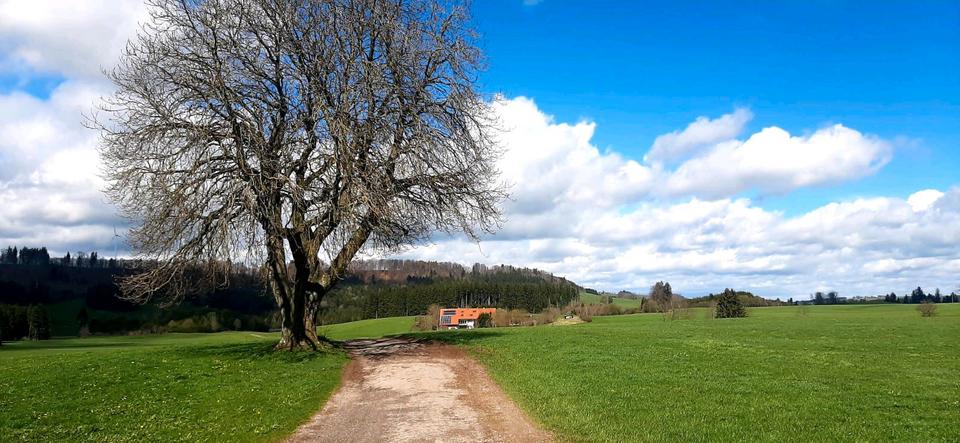 Wohnen auf Zeit Wildpoldsried - 1.5 Zimmer, 160 m&sup2;, 785&euro; | Angebot:24842223