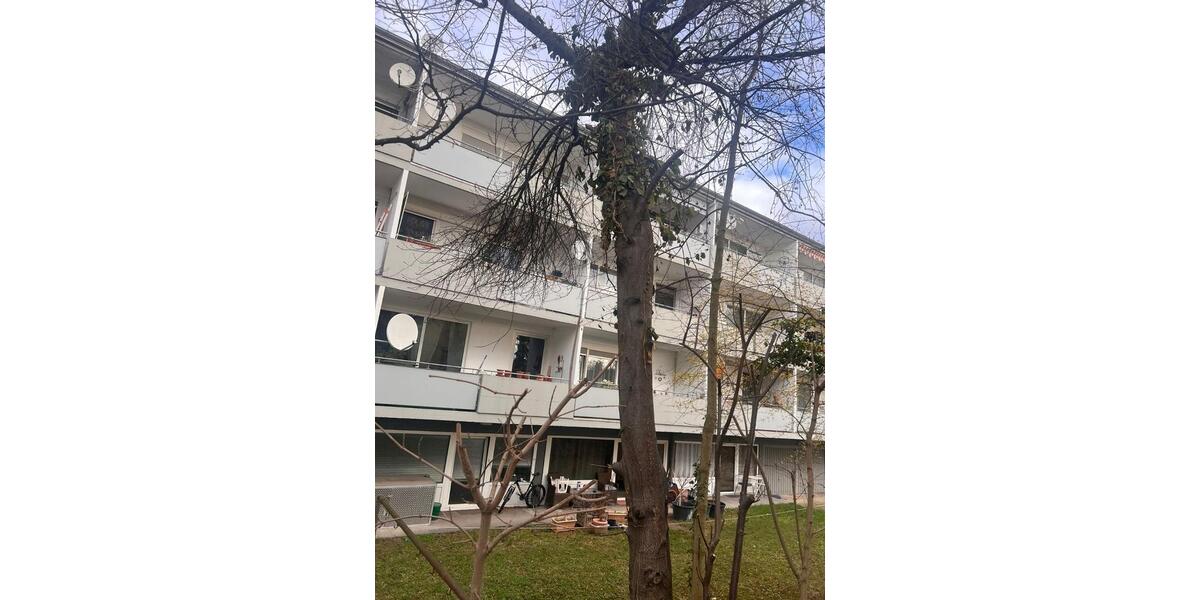 WG Zimmer Schwetzingen Zentral, Frei 1 zimmer