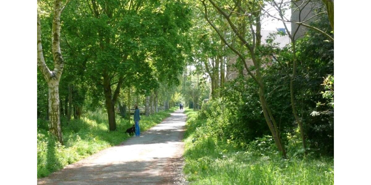 Sanierte 2-Zimmer Wohnung, Balkon, Einbauküche & TG Kleinenbroich zimmer