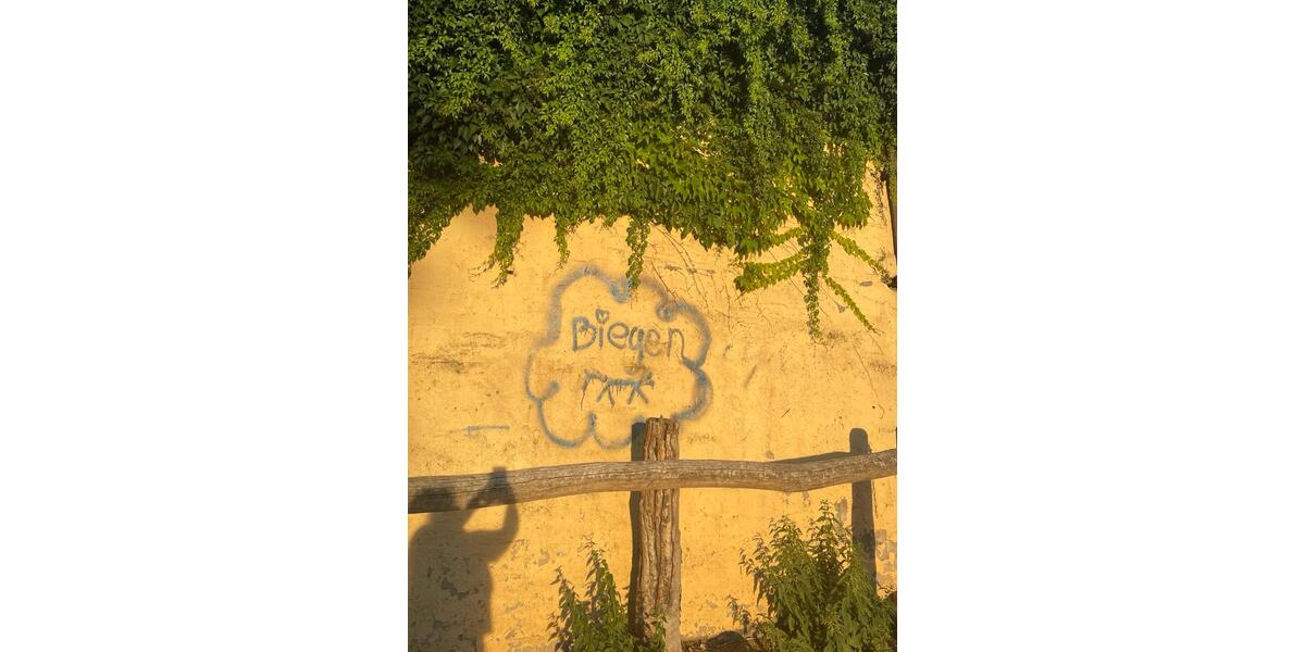 Erdgeschoßwohnung Steinhöfel - 1 Zimmer, 8 m&sup2;, 350&euro; | Angebot:25755498