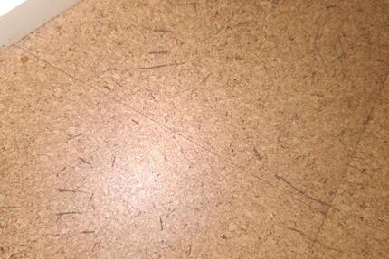 Wohnen auf Zeit Moosburg an der Isar - 1 Zimmer, 23 m&sup2;, 650&euro; | Angebot:24740593