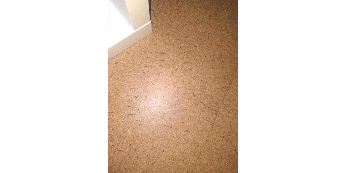 Wohnen auf Zeit Moosburg an der Isar - 1 Zimmer, 23 m&sup2;, 650&euro; | Angebot:24740593