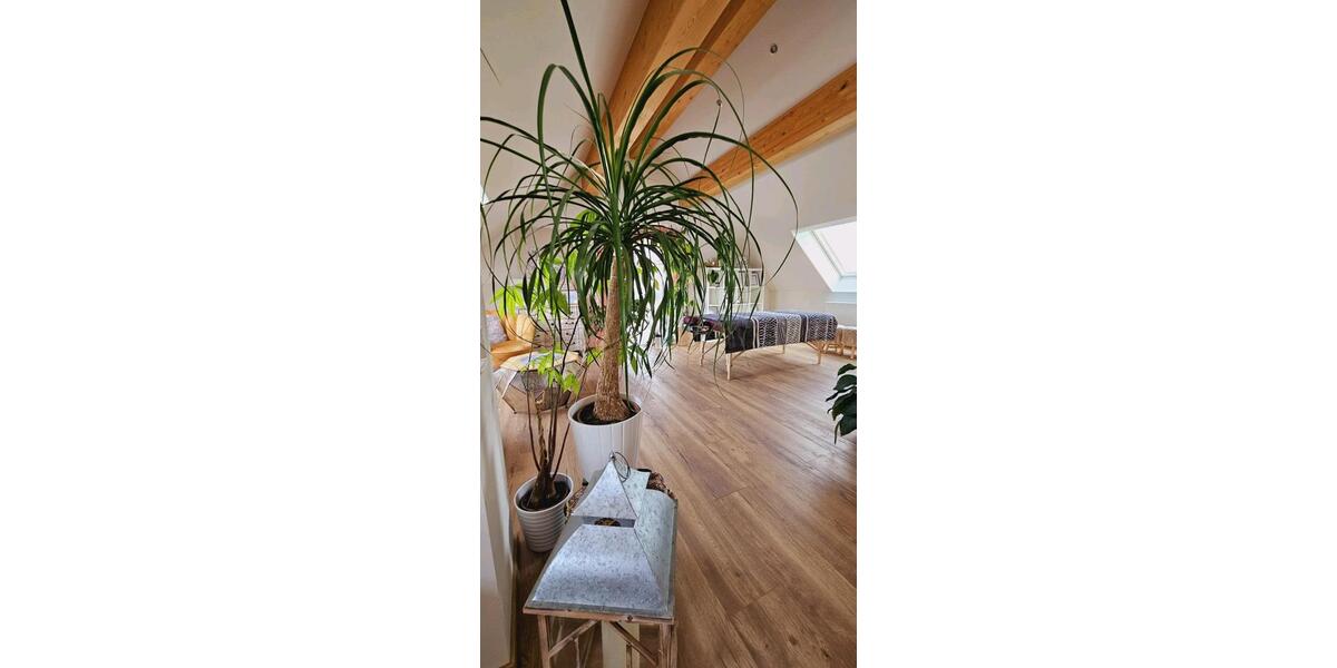 Lichtdurchflutete Praxisräume zimmer