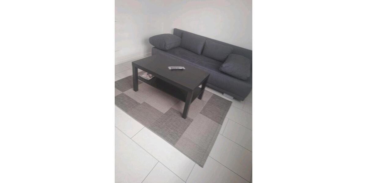 Wohnen auf Zeit Worms - 2 Zimmer, 45 m&sup2;, 450&euro; | Angebot:26211044