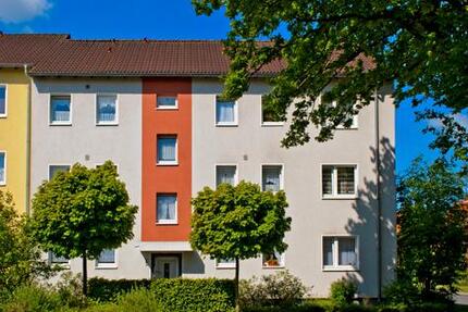 Wohnung Ahlen Dolberg - 2 Zimmer, 46 m&sup2;, 479&euro; | Angebot:25268213