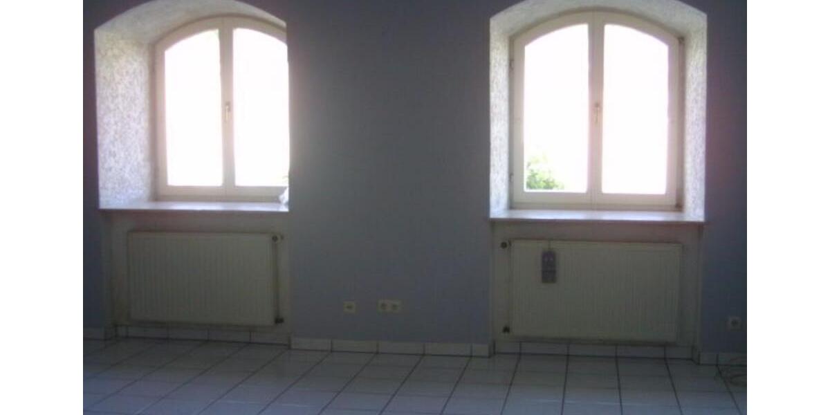 Günstige 1-Zi-Wohnung, kl. Küche, Bad 230+130NK, Tr-Olewig, 1Pers 1 zimmer