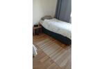 Etagenwohnung Herzberg (Elster) - 1 Zimmer, 25 m&sup2;, 550&euro; | Angebot:26597906