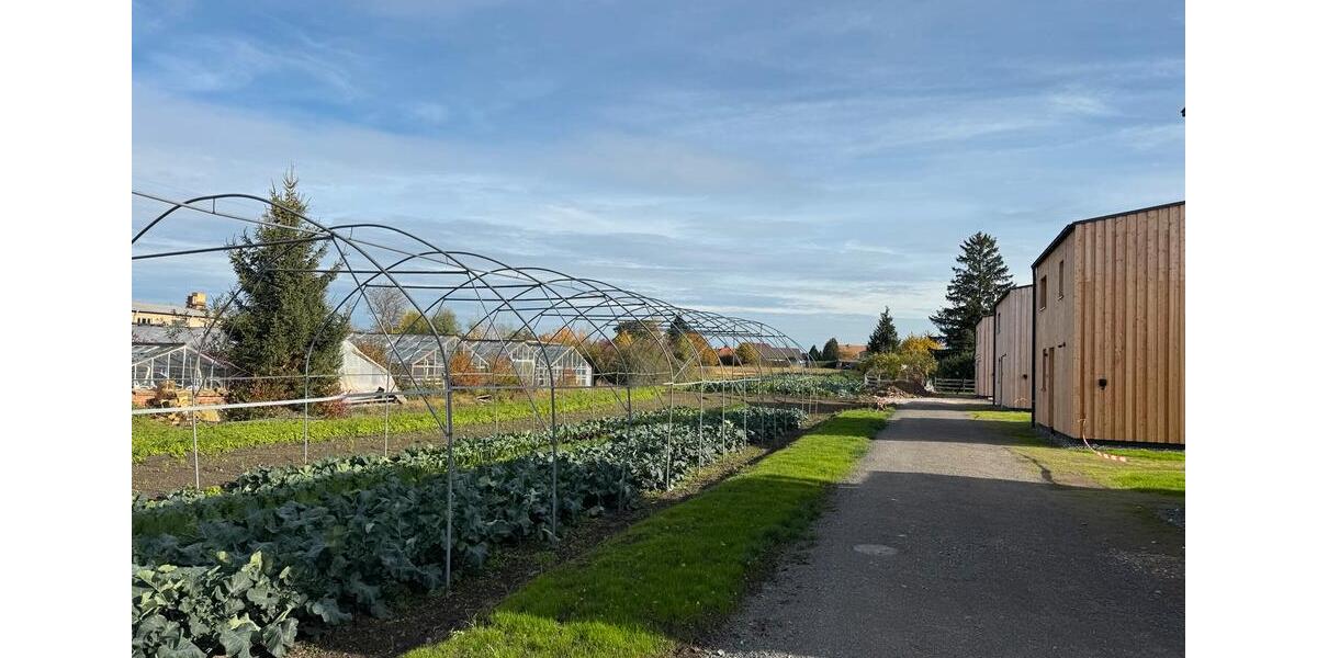 PREVIEW: Modernes EFH bei Leipzig, zu vermieten ab 01.02. 3 zimmer