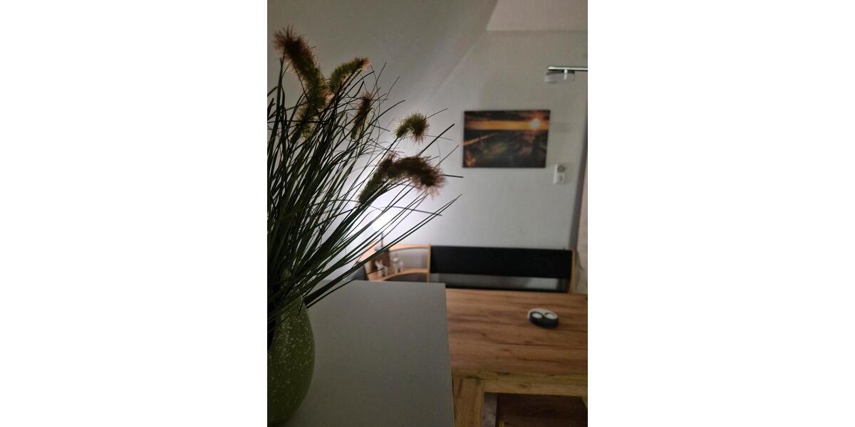 1,5 Zi Appartement Urlauber, Handwerker.48qm 1.5 zimmer