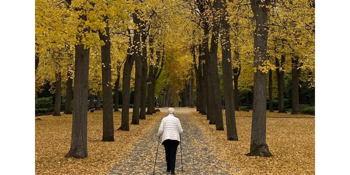 Erdgeschoßwohnung Pforzheim Eutingen - 2 Zimmer, 46 m&sup2;, 389&euro; | Angebot:25046504