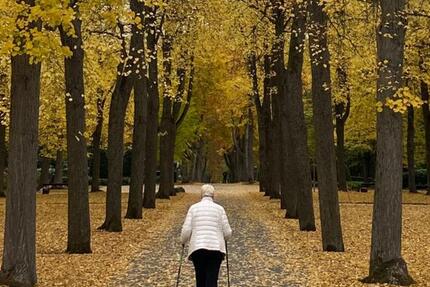 Wohnung Pforzheim Eutingen - 2 Zimmer, 46 m&sup2;, 389&euro; | Angebot:25046504