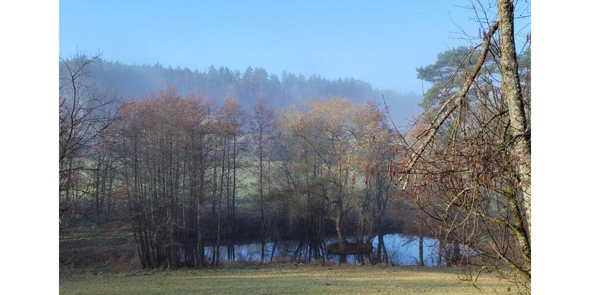 Wohnen auf Zeit Kronach - 1 Zimmer, 30 m&sup2;, 480&euro; | Angebot:25871199