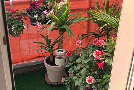 WG (2 Zimmer Wohnung) in Eltenerstr. Frei 1 zimmer