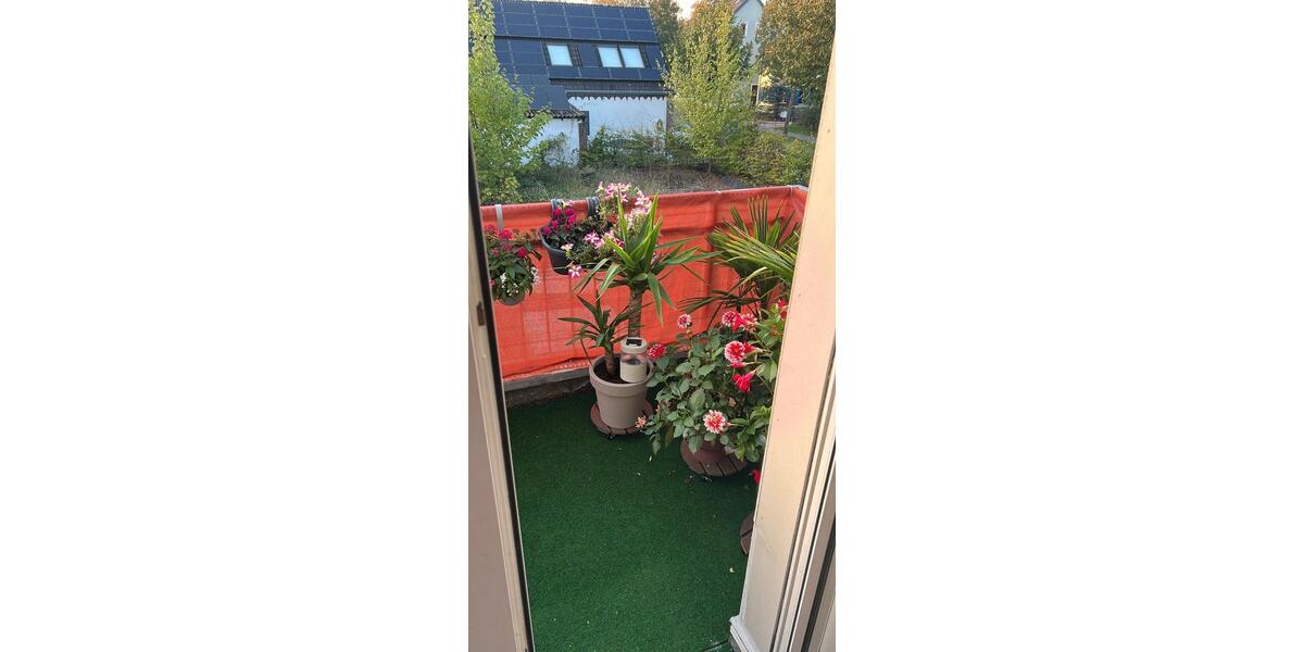 WG (2 Zimmer Wohnung) in Eltenerstr. Frei 1 zimmer