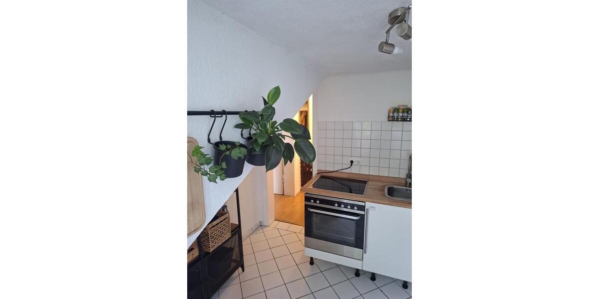 Dachgeschoßwohnung Essen Stadtbezirk III - 2 Zimmer, 43 m&sup2;, 470&euro; | Angebot:26656171