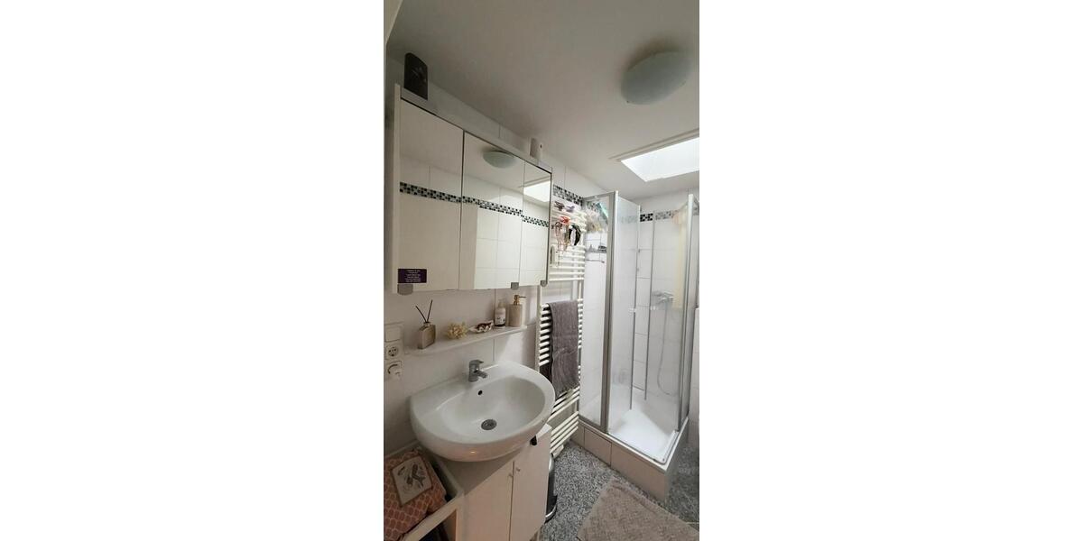 Dachgeschoßwohnung Mainz - 2 Zimmer, 45 m&sup2;, 990&euro; | Angebot:25724893