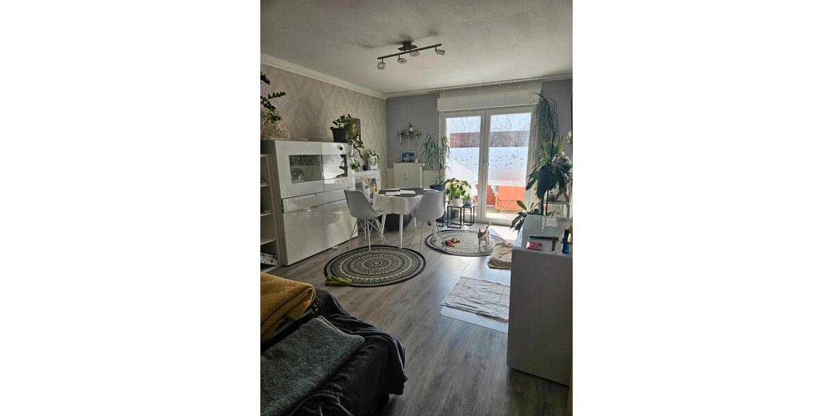 Erdgeschoßwohnung Magdeburg Alte Neustadt - 3 Zimmer, 60 m&sup2;, 620&euro; | Angebot:25918651