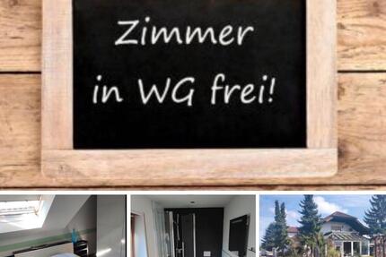Wohnen auf Zeit Ketsch - 1 Zimmer, 16 m&sup2;, 500&euro; | Angebot:26036704
