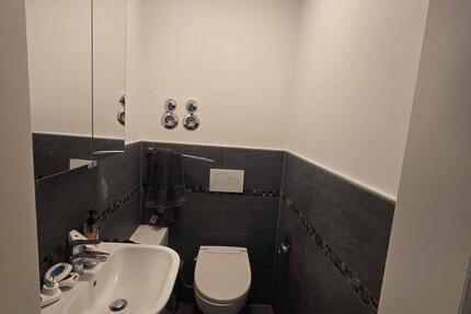 Luxuriöse und helle 3-Zimmer Wohnung zur Miete 3 zimmer