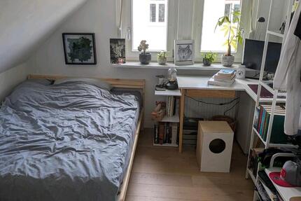 Wohnen auf Zeit Gießen Schlangenzahl - 1 Zimmer, 10 m&sup2;, 340&euro; | Angebot:26568084