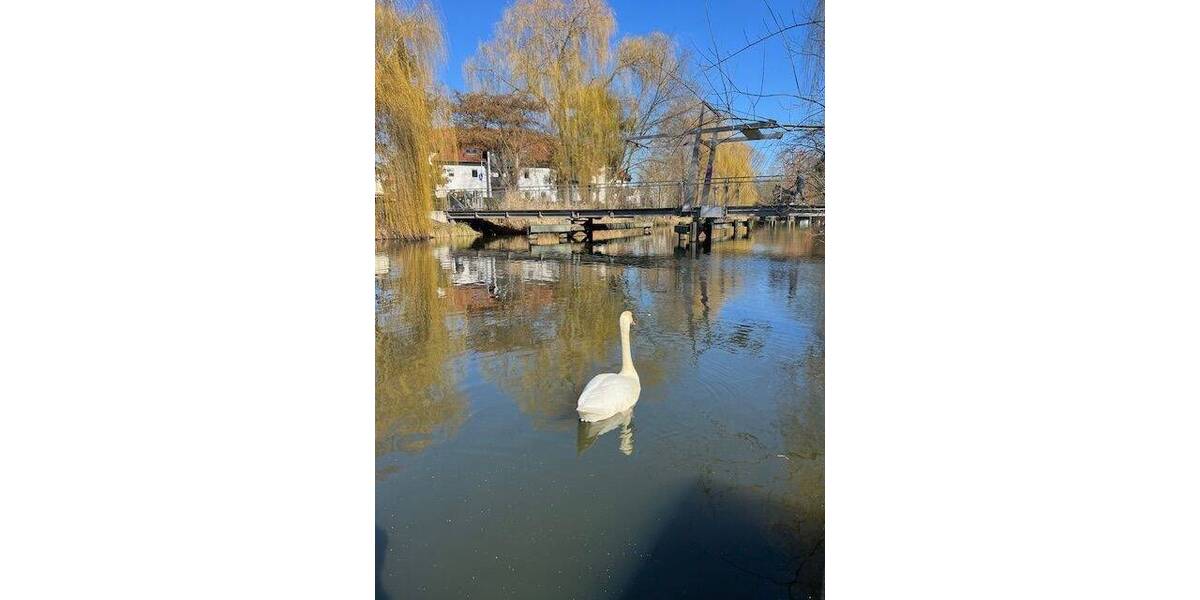 Reihenendhaus Königs Wusterhausen - 3 Zimmer, 105 m&sup2;, 1.585&euro; | Angebot:25742184