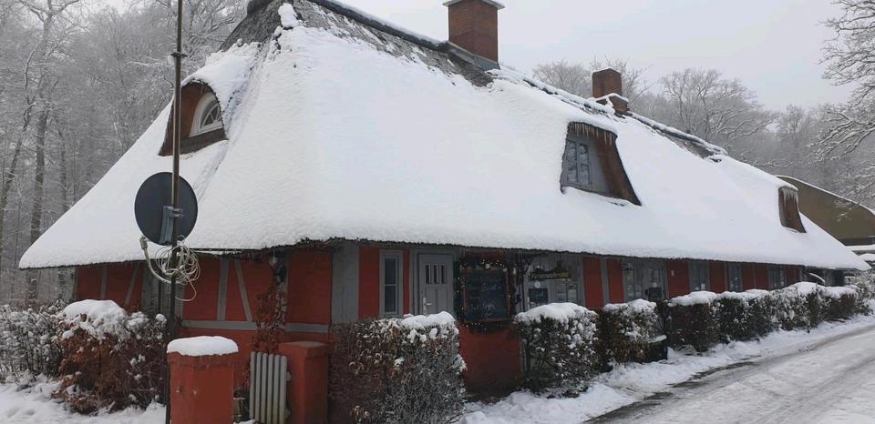 Erdgeschoßwohnung Wensin - 1 Zimmer, 25 m&sup2;, 550&euro; | Angebot:24378671