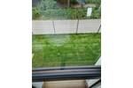 Etagenwohnung Berlin Altglienicke - 5 Zimmer, 160 m&sup2;, 2.900&euro; | Angebot:26247787