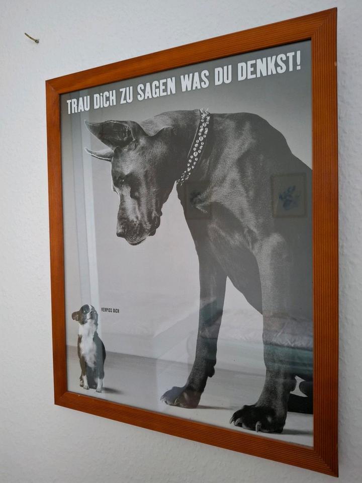 Möblierte Wohnung in Magdeburg zu vermieten