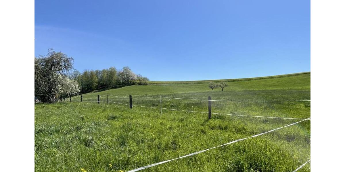 Etagenwohnung Roßwein - 2 Zimmer, 49 m&sup2;, 199&euro; | Angebot:24965351