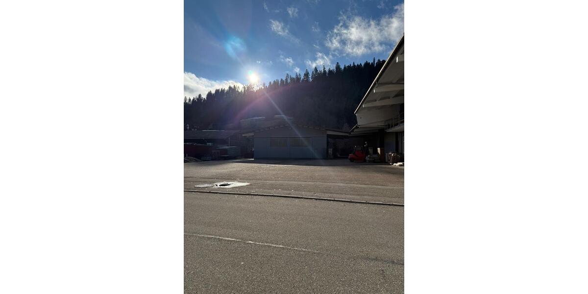 Gewerbeobjekt Baiersbronn - 1.600&euro; | Angebot:24771382