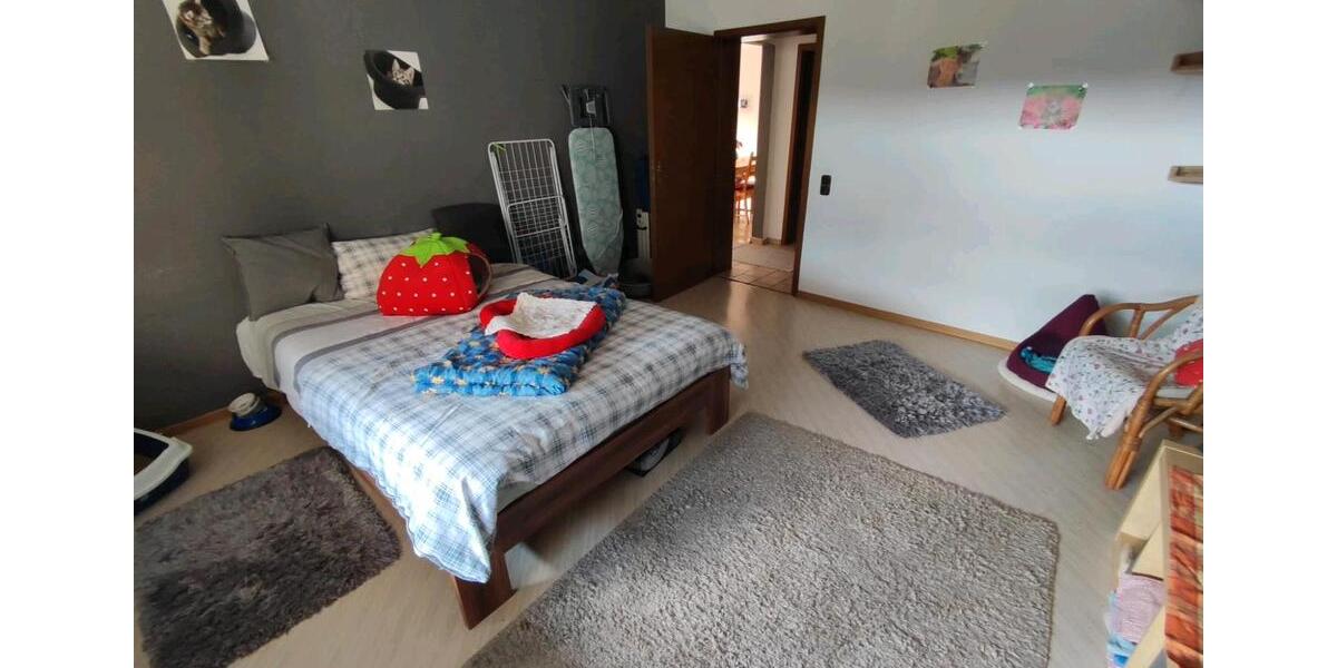 Erdgeschoßwohnung Siegen - 2 Zimmer, 114 m&sup2;, 1.000&euro; | Angebot:25922772