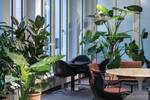 Gewerbeobjekt Bonn Zentrum - 2.400&euro; | Angebot:25718371