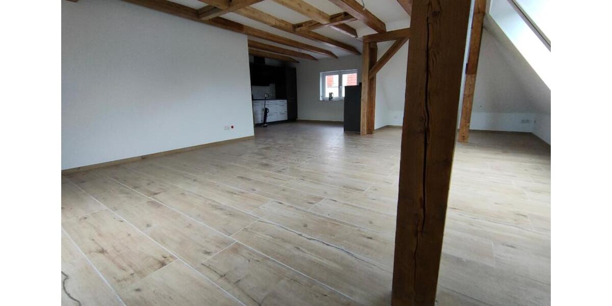 sanierte große 2-Raum-Dachgeschosswohnung im Loft- Stil mit Einbauküche, Gartennutzung in Ebersbach 2 zimmer