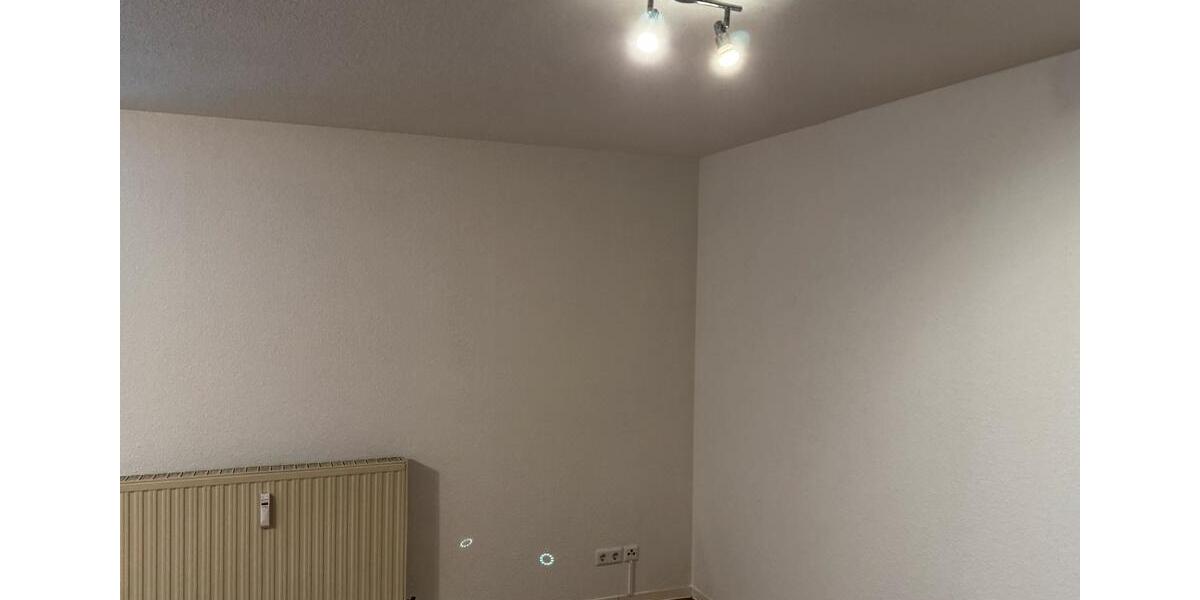 Etagenwohnung Hof Altstadt - 1 Zimmer, 41 m&sup2;, 350&euro; | Angebot:25022799