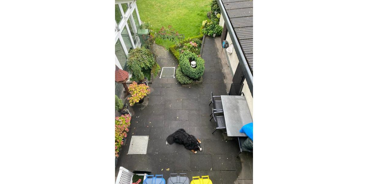 Wohnen auf Zeit Linden - 1 Zimmer, 25 m&sup2;, 390&euro; | Angebot:25975981