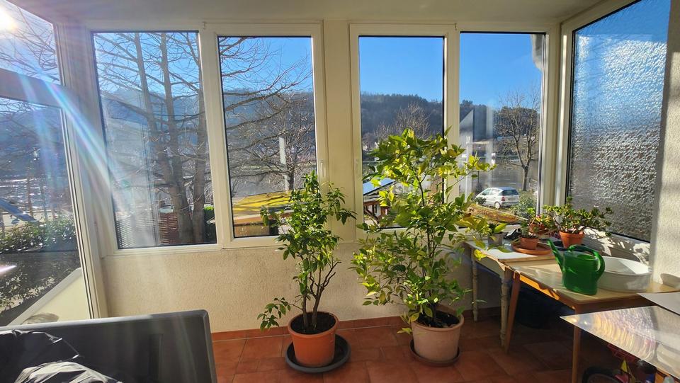 Repräsentative 1920er-Jahre Villa in Zell (Mosel) 9 zimmer