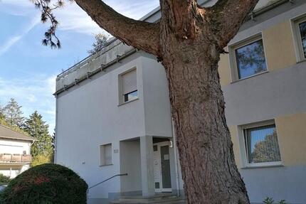 Sehr schöne 2-Raum-Wohnung in Top Wohnlage Solinger Süden zimmer
