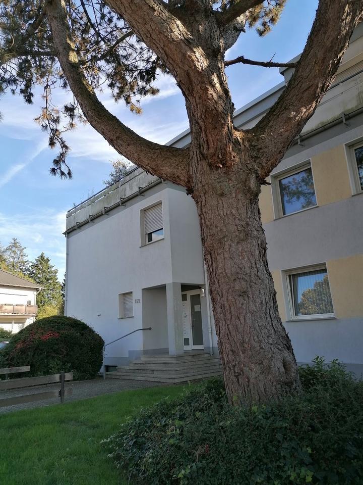 Sehr schöne 2-Raum-Wohnung in Top Wohnlage Solinger Süden zimmer