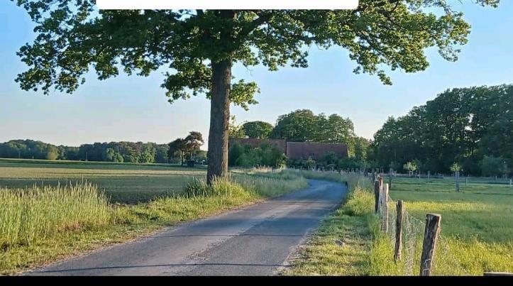 Wohnen auf Zeit Halle - 5 Zimmer, 150 m&sup2;, 600&euro; | Angebot:24868312