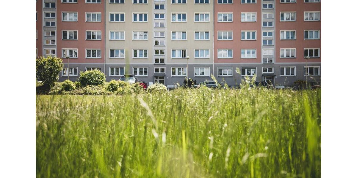 Wohnen auf Zeit Zittau - 1 Zimmer, 25 m&sup2;, 35&euro; | Angebot:19140950