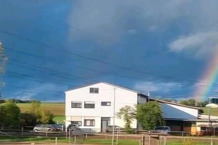 Wohnung Rodenbach - 3 Zimmer, 73 m&sup2;, 690&euro; | Angebot:24945432