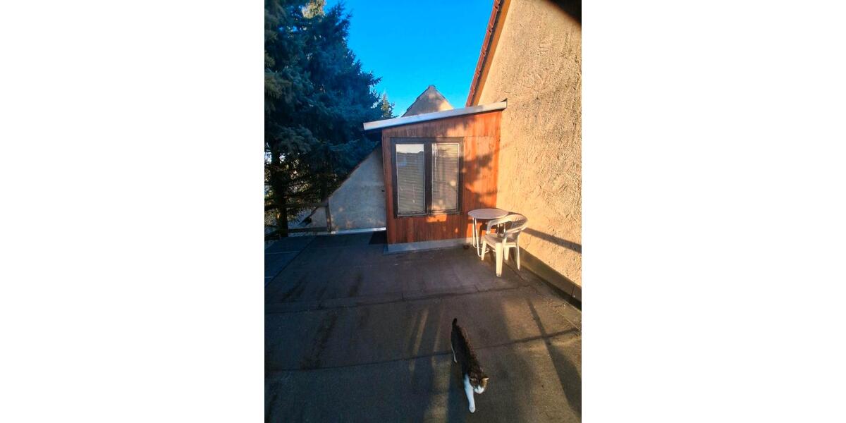 Dachgeschoßwohnung Markersdorf - 1 Zimmer, 25 m&sup2;, 320&euro; | Angebot:26602732