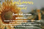 Renovierte drei Zimmer Wohnung - Gemütliche Oase in Magdeburg! 3 zimmer
