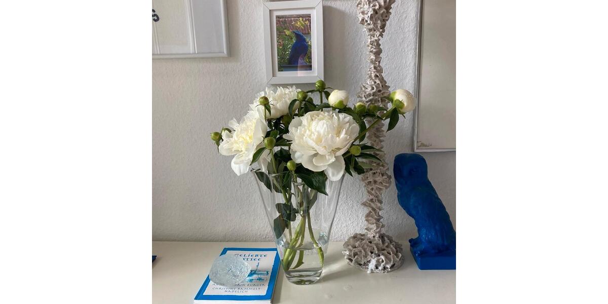 Wohnen auf Zeit Brüsewitz - 2 Zimmer, 33 m&sup2;, 790&euro; | Angebot:12859278