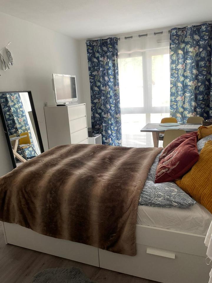 Helle 1-Zimmer-Wohnung in Trier