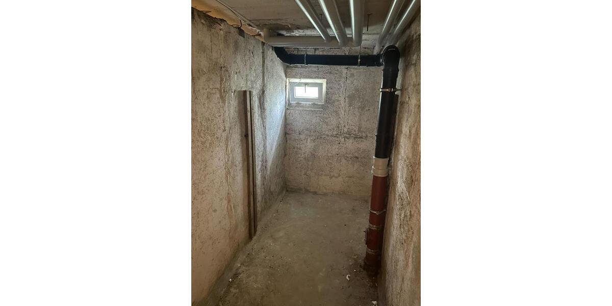 Hochwertige 3-Zimmer Wohnung in Greifswald Eldena zum 01.04. zu vermieten 3 zimmer