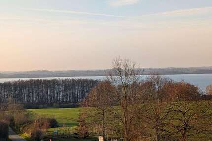 Wohnung zum Mieten in Leezen 479 € 57.1 m² 3 zimmer