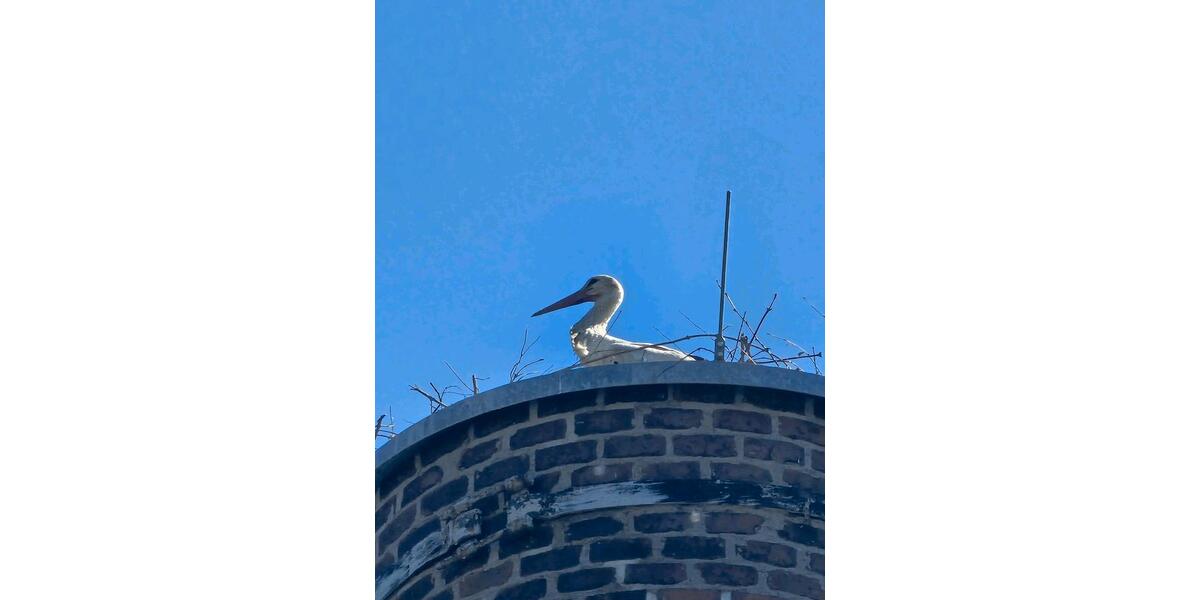 Erdgeschoßwohnung Crimmitschau - 4 Zimmer, 135 m&sup2;, 1.249&euro; | Angebot:24773905