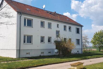 Wohnung Osternienburger Land - 4 Zimmer, 70 m&sup2;, 430&euro; | Angebot:26268412